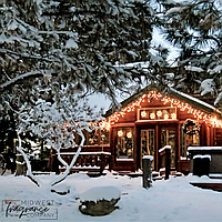 Аромамасло премиум "Пряная корица, сосна, клюква и апельсин", США, "Christmas Cabin". Midwest 50 г