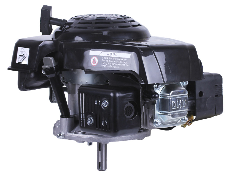 Двигун 1P65F (з вертикальним валом) (5.5 к.с.) TT, фото 1