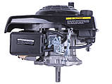 Двигун 1P65F (з вертикальним валом) (5.5 к.с.) TT, фото 4