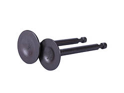 Клапани, к-т 2 шт. - P70F (ZS)