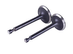 Клапани, к-т: 2 шт. - P70F