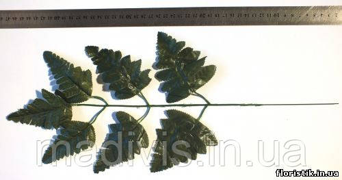 Лист папороті на дроті темно-зелений, фото 1