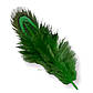 Куряче пір'я 4-8 см 10 шт. Зелений, фото 3