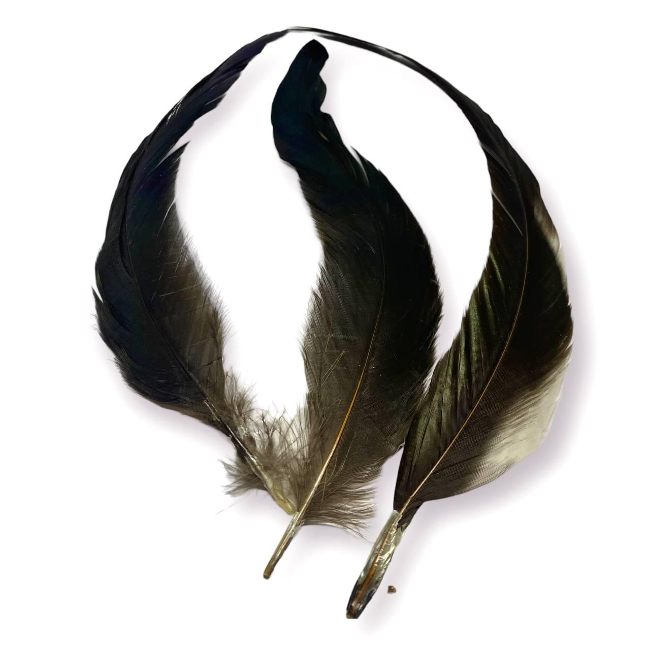 Пір'я чорного півня 12-18 см 1 шт., фото 1