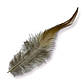 Пір'я куряче 10-15 см 20 шт., фото 2