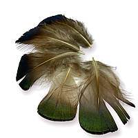Маленькие перья золотого фазана, размер 4-7см, 5шт. в упаковке_ПДД 034