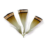 Золотые перья фазана, размер 4-7см, 5шт. в упаковке _ПДД 0011