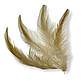 Пір'я куряче 7-11 см 20 шт., фото 2