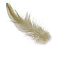 Пір'я куряче 7-11 см 20 шт., фото 3