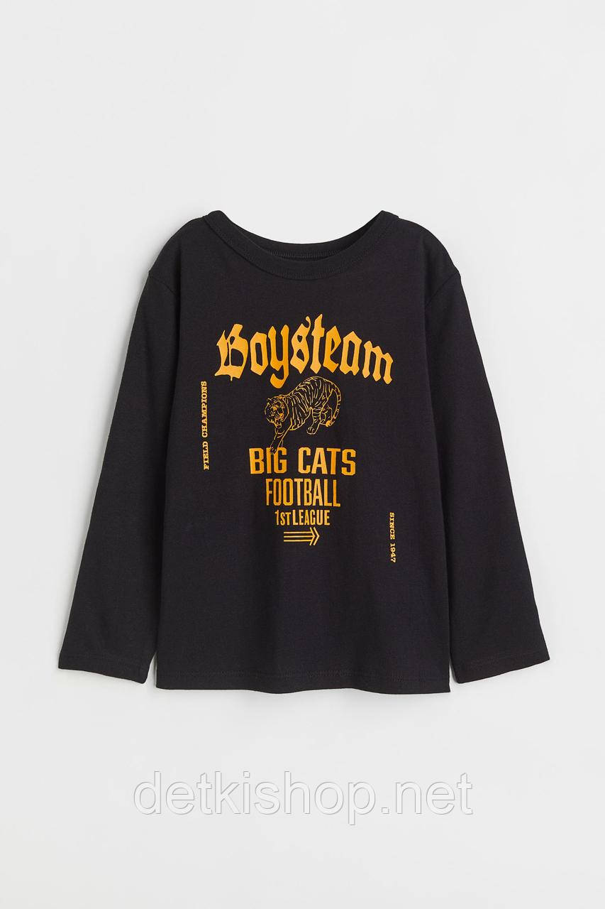 Трикотажний реглан H&M лонгслів для хлопчика