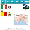 Вантажні перевезення з Неаполя в Неаполь разом з Logistic Systems., фото 10