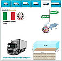 Вантажні перевезення з Турина в Турин разом з Logistic Systems., фото 7