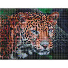 Алмазна мозаїка "Дитий погляд" 30х40см