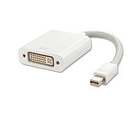 Конвертер DisplayPort Mini (папа) / DVI (мама) 30см белый