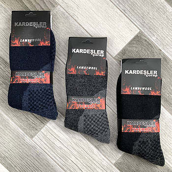 Шкарпетки чоловічі термо вовняні махрові Kardesler Lambswool, Туреччина, розмір 41-45, асорті, 0996