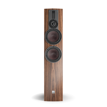 Підлогова акустика DALI RUBICON 6 NATURAL, фото 1