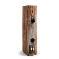 Підлогова акустика DALI RUBICON 6 NATURAL, фото 4