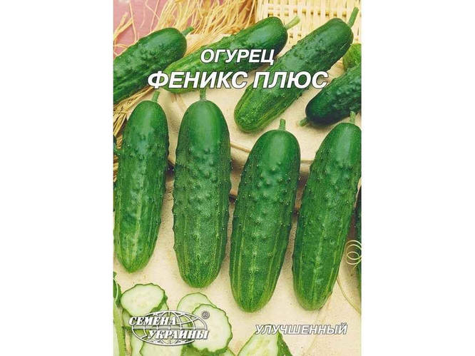 Гигант Огурец Феникс плюс 10 г (10 пачек) ТМ СЕМЕНА УКРАИНЫ BP, цена ...