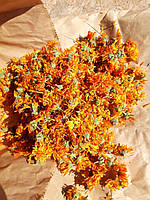 Календула (ноготки) / сушеные цветки календулы