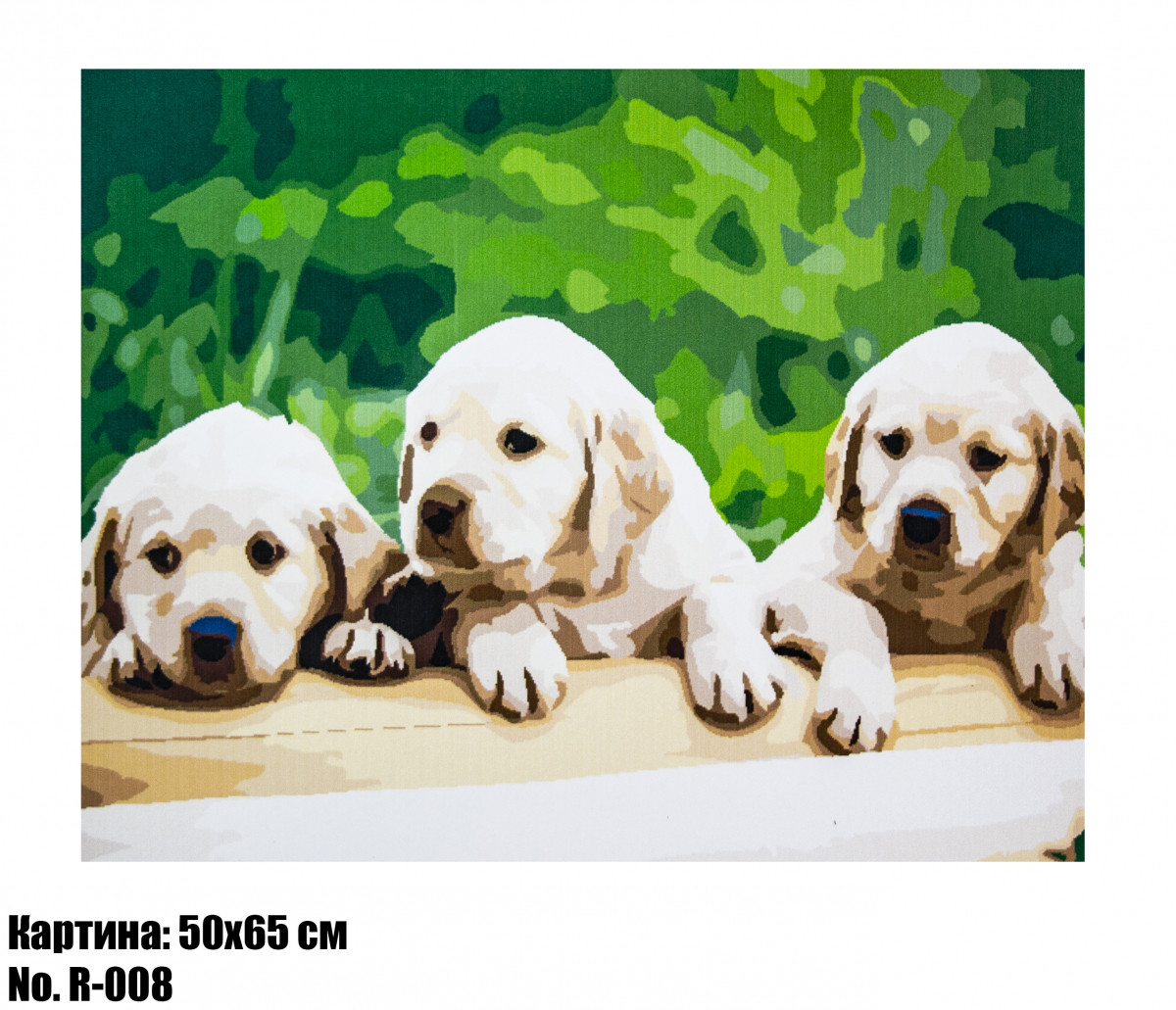 Антистрес картина за номерами Dogs 2 50 х 65 см Art22001