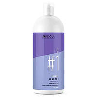 Шампунь для фарбованого волосся з сріблястим ефектом Indola Color Shampoo Silver 1500 мл