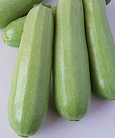 Кабачок Рана F1 Франція 10 шт, фото 2