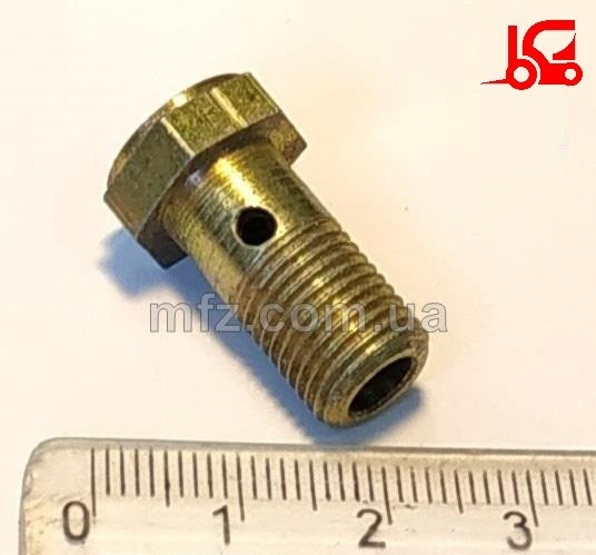 Болт порожнистий гальмівної трубки ф10 1661.33.10 19.00.01 Балканкар ДВ1661