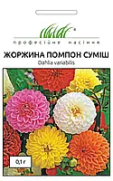 Семена цветов Георгина махровая Помпон смесь F1, 0,1 г, годен до 11.2023, УЦЕНКА