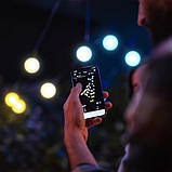 Світлодіодна Smart LED-гірлянда Twinkly Festoon LED AWW 20, 10 м, BT+WiFi, Gen II, IP44, кабель чорний, фото 5