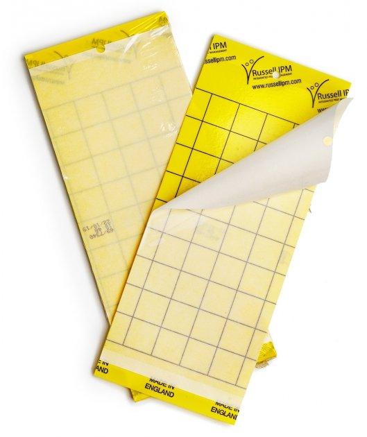 Моніторингова пастка для відлову комах в теплицях Russell IPM Yellow Glue Boards 10х25 см, 10 шт.