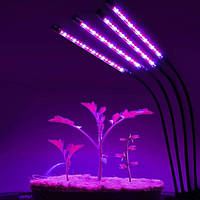 Фитолампа для растений Plant GrowLight светодиодная с таймером TP