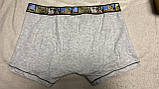 Чоловічі труси Ysabel Mora 20166, розмір XXL, фото 3