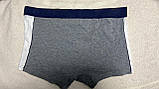 Чоловічі труси Basile BA 257, розмір L, фото 2