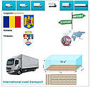 Вантажні перевезення з Тімішоари в Тімішоару разом з Logistic Systems, фото 6