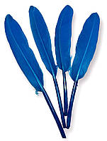 Перья куриные, цвет Светло Синий, размер 10-15см, 25шт. в упаковке_ПДД 048СС