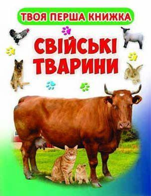 Книга "Книжка з віконцями+рухомі елементи.Диво-тренажер. Логіка, пам'ять, увага (укр)", шт