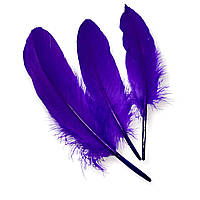 Перья гусиные, цвет Фиолетовый, размер 15-20см, 25шт. в упаковке_ПДД 011Ф