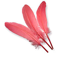 Перья гусиные, цвет Розовый, размер 15-20см, 25шт. в упаковке_ПДД 011Р