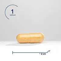 Seeking Health B Minus/комплекс вітамінів групи Б без Б12 і фолієвої 100 капсул BX369, фото 3