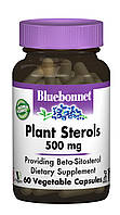 Растительные Стерины 500мг Bluebonnet Nutrition 60 гелевых капсул z12-2024