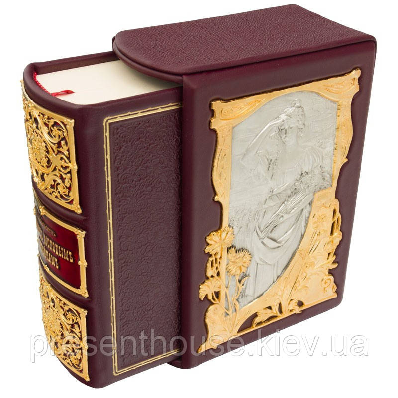 Книга шкіряна  "Подарунок молодим господиням". Молохівець Е.І., фото 1