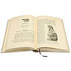 Книга шкіряна  "Справжна історія". Іегер О., фото 5