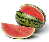 Насіння кавуна Кримсон Світ 10 г середньоранній, фото 2