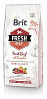 Сухий корм Brit Fresh Beef Pumpkin Growth Joints 12 kg (для цуценят і юніорів великих порід собак)