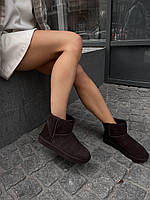 Женские зимние сапоги UGG Dark Burgundy (тёмно-коричневые/бургунди) короткие угги с лаковым задником 000039