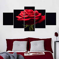Модульная картина из пяти частей Art Studio Shop Роковое сочетание красного с чёрным 112x48 см (M5_M_88)