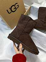 Женские зимние угги UGG Classic Short Dark Brown (тёмно-коричневые) крутые комфортные теплые сапоги UG037 топ