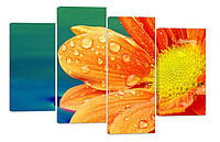 Модульная картина на холсте из четырех частей KIL Art Цветок Роса на лепестках 89x56 см (M4_M_395) z15-2024