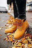 Жіночі черевики Timberland Classic Boots (с мехом), фото 8