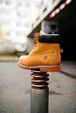 Жіночі черевики Timberland Classic Boots (з хутром), фото 2